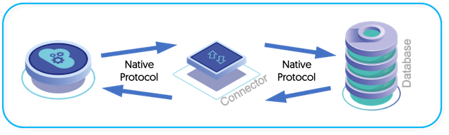 Tungsten Connector Bridge Mode Architecture